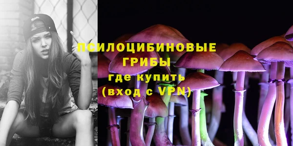 ПСИЛОЦИБИНОВЫЕ ГРИБЫ Богородск