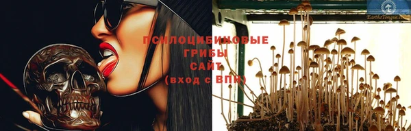 метадон Богданович