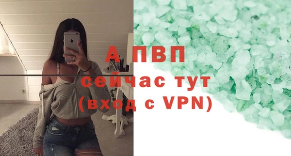 ПСИЛОЦИБИНОВЫЕ ГРИБЫ Богородск