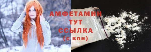 метадон Богданович