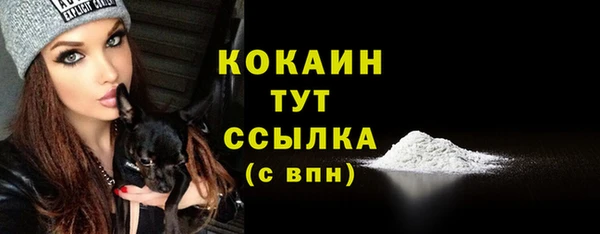 ПСИЛОЦИБИНОВЫЕ ГРИБЫ Богородск