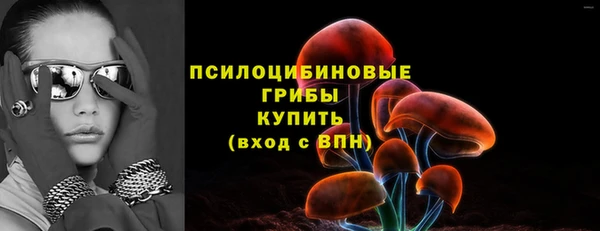 спайс Белокуриха
