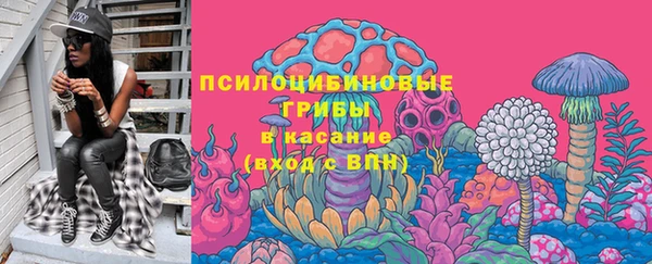 метадон Богданович