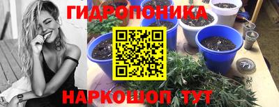 spice Апрелевка