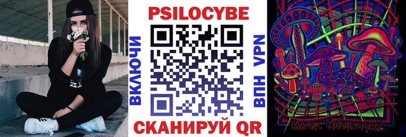 нарко площадка телеграм Богданович Псилоцибиновые грибы прущие грибы