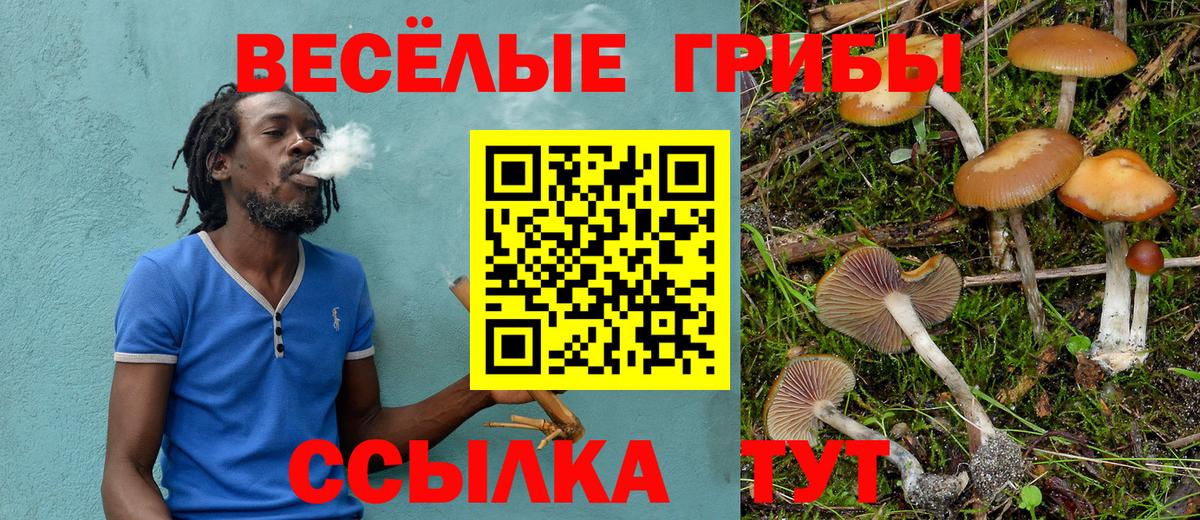 Богданович  Галлюциногенные грибы Magic Shrooms  Вход с VPN  купить наркоту  Галлюциногенные грибы прущие грибы 