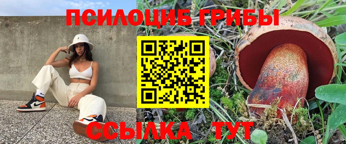 Псилоцибиновые грибы MAGIC MUSHROOMS Богданович