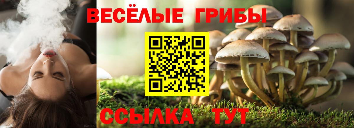Кетамин  МАРИХУАНА  Где купить наркотики?  Богданович  Амфетамин кристаллы  NBOMe  ГАШИШ  Вход с VPN  A PVP СОЛЬ   Марихуана  Cocaine  Меф   Лсд 25 